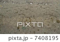 雨 7408195