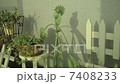 花園 7408233