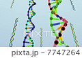 Helical structure of DNA 7747264
