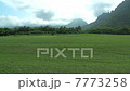 Kualoa地區公園 7773258