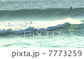 北岸衝浪 7773259