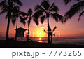 北岸日落 7773265