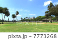 卡皮歐拉尼公園和鑽石頭 7773268