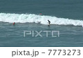 衝浪 7773273
