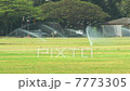 Kapiolani公園噴水隆頭 7773305