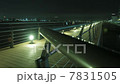 timelaps  夜景 7831505