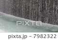 夏の水辺 7982322