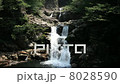 滝 8028590