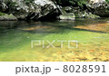 渓流 8028591