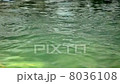 揺れる水面 8036108