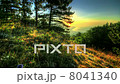 Morning View Of Yalta. HDR Time Lapse Shot Motorized Slider 8041340