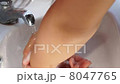 手洗い 8047765