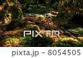 HDR Time Lapse Moss-Covered Boulders.  Crimea, Ukraine 8054505