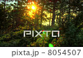 HDR Time Lapse. Spring Sunrise In Forest 8054507