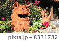 Shisa Shisa 8331782
