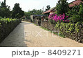 Taketomijima Taketomijima 8409271