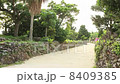 Taketomijima Village Taketomijima Village 8409385