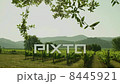 Beautiful Landscape of Vineyard in Mountains on a Sunny Day. Camera moves using slider. 8445921