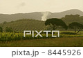 Beautiful Landscape of Vineyard in Mountains. 8445926
