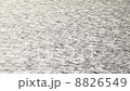 光を反射する海面 8826549