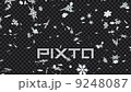 雪花 9248087