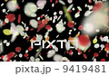 風に舞う花ふぶき3  黒バック 9419481