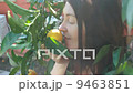 woman picking up a fresh orange from tree 9463851
