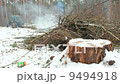 Fire in old forest 9494918