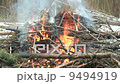 Fire in old forest 9494919