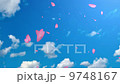 青空と桜吹雪 9748167