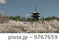 全國櫻花風景京都府Ninna-ji寺009 9767659