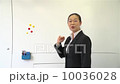 Working business woman 10036028
