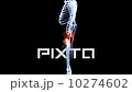 skeleton 10274602