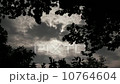 Gloomy Spooky Dark Sky With Trees 2 10764604