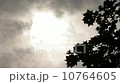Gloomy Spooky Dark Sky With Trees 6 10764605