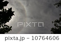 Gloomy Spooky Dark Sky With Trees And Sun Halo 10764606