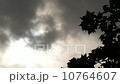 Gloomy Spooky Dark Sky With Trees 5 10764607