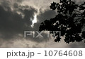 Gloomy Spooky Dark Sky With Trees 1 10764608