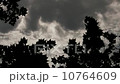 Gloomy Spooky Dark Sky With Trees 3 10764609