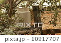 Milk jug pitcher vase next to a stone wall 10917707