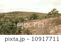 Agriculture farm landscape in Israel 10917711
