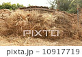 Agriculture farm landscape in Israel 10917719