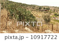 Agriculture farm landscape in Israel 10917722