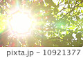 Sunlight Solar Power through leaves and branches of a tree 5 10921377