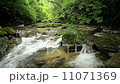 やんばるの清流 11071369