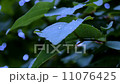A drop 11076425