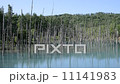 Blue pond 11141983