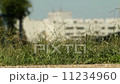陽炎砂利道  11234960