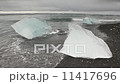 Sea birds and small icebergs floating in Jokulsarlon glacier estuary, Iceland. Sea birds and small icebergs floating in Jokulsarlon glacier estuary, Iceland. 11417696