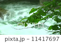 Flowing mountain stream with a branch of tree in foreground Flowing mountain stream with a branch of tree in foreground 11417697